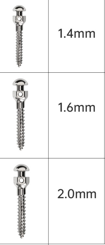 ORT101  Orthodontic Screw 